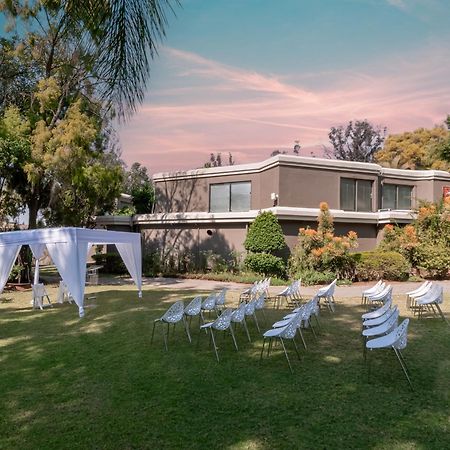 Villa Africa Boutique Hotel & Spa Претория Экстерьер фото